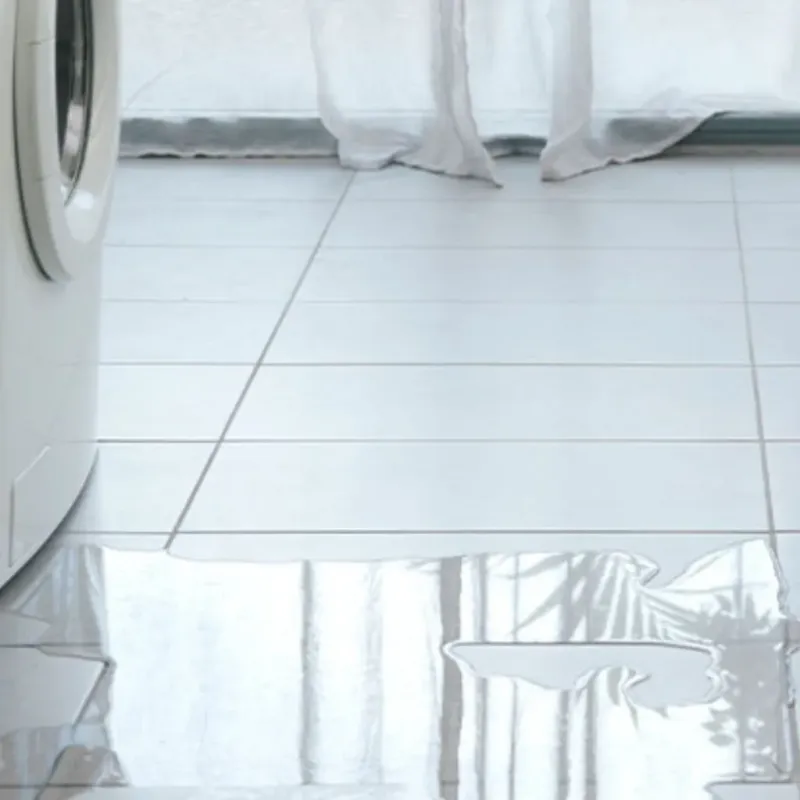 Appliance Leak Cleanup in Saint Joseph, IL