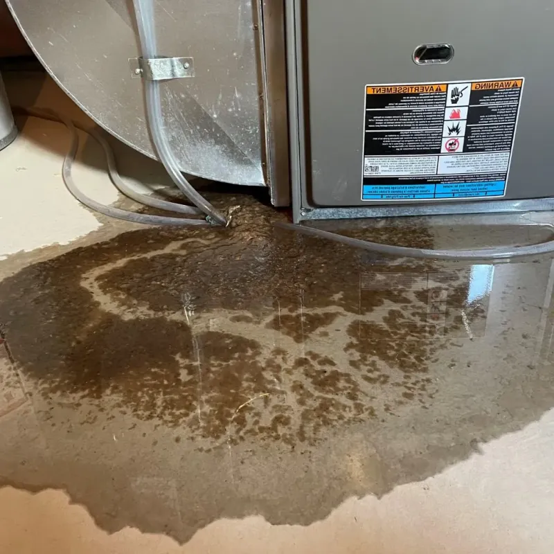 Pipe Burst and Leak Restoration in Saint Joseph, IL