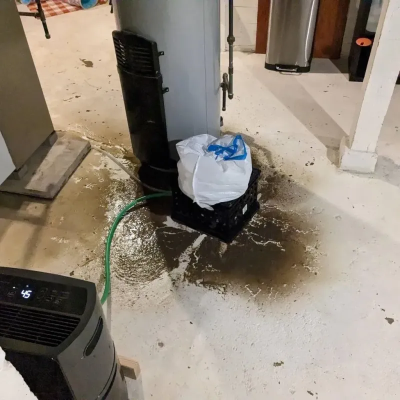 Sewage Backup Cleanup Service in Saint Joseph, IL